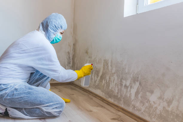 Mold Remediation specialist working in Rockwood